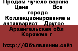 Продам чучело варана. › Цена ­ 15 000 - Все города Коллекционирование и антиквариат » Другое   . Архангельская обл.,Коряжма г.